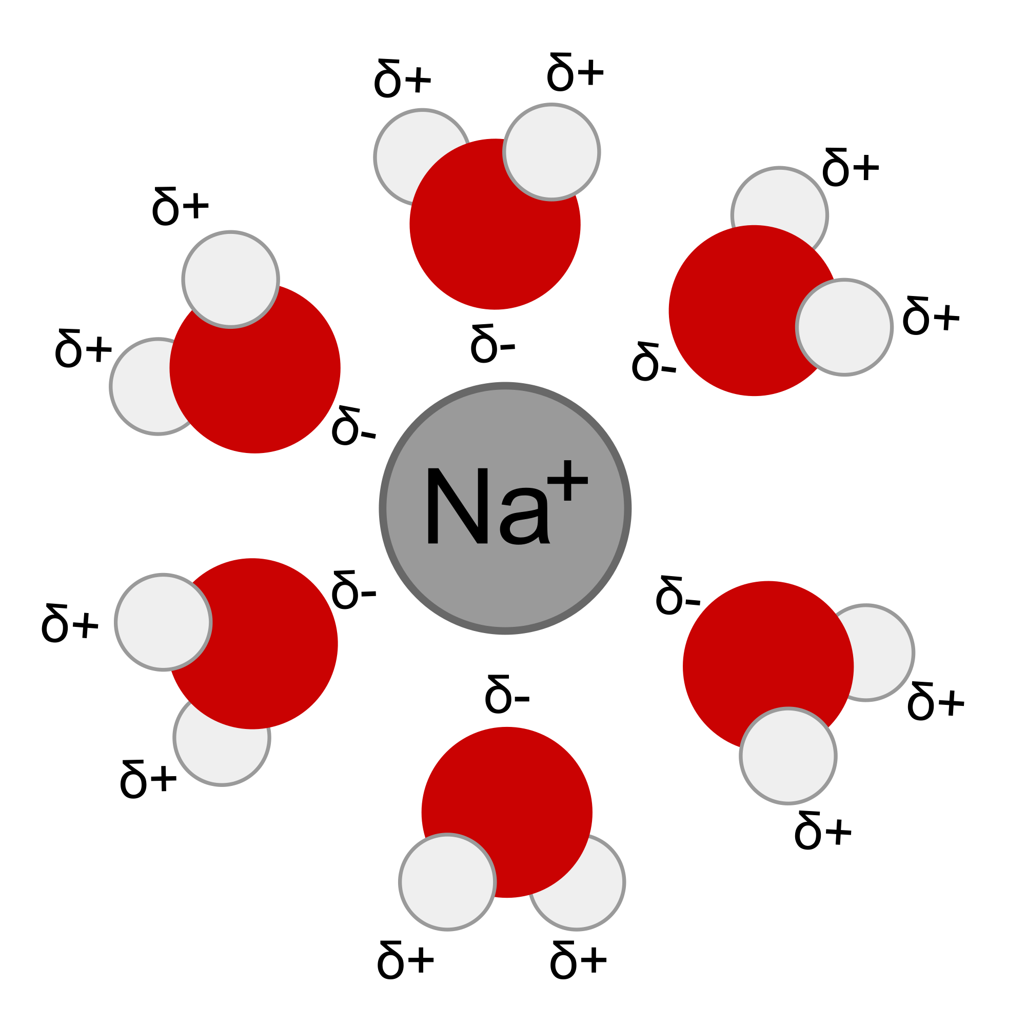 2000px-Na+H2O.svg