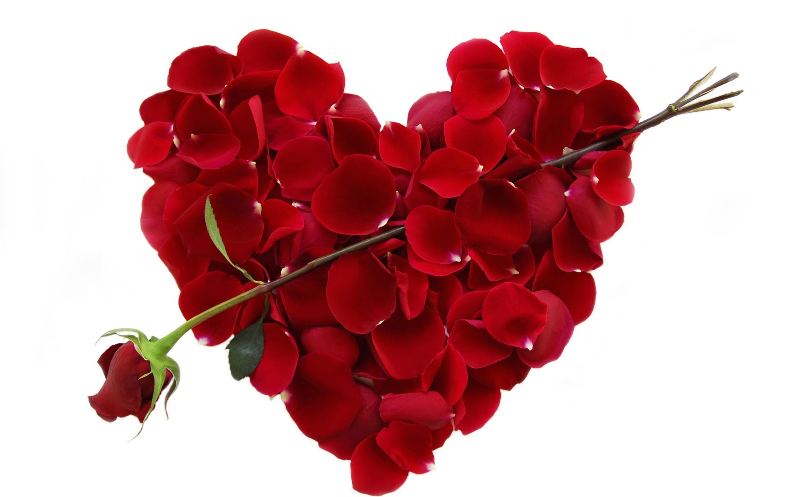 Valentine's Day