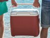 Prijatelji nose crveni ručni frižider na plaži