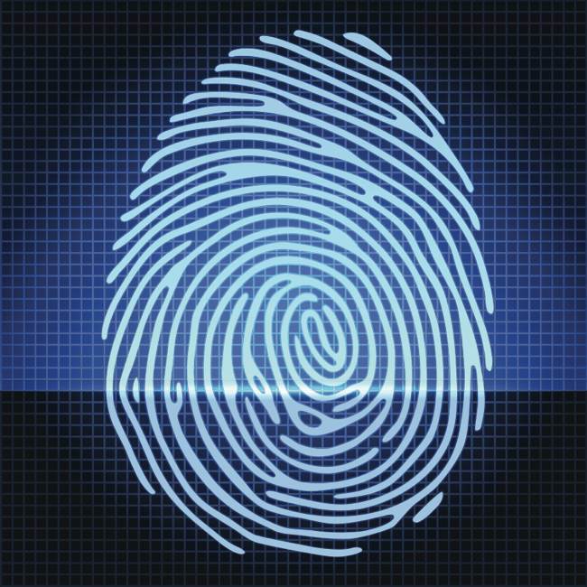 Fingerprint 02