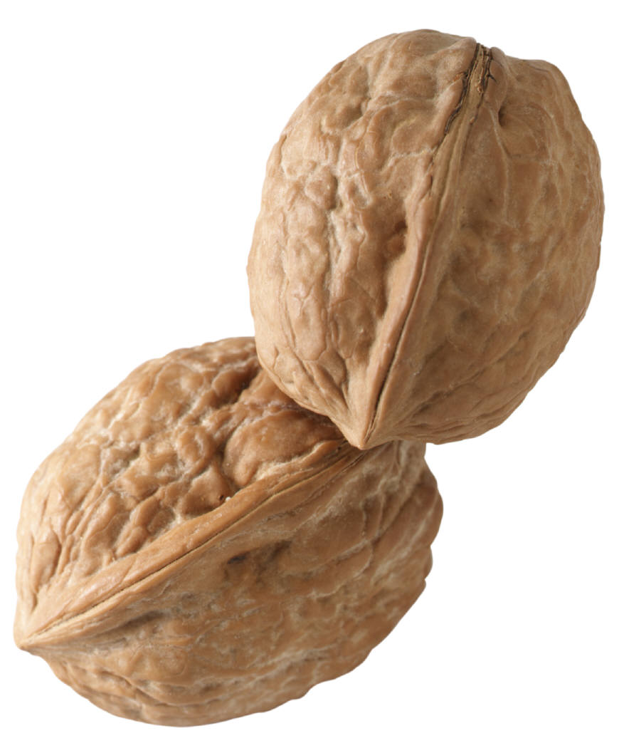 nuts